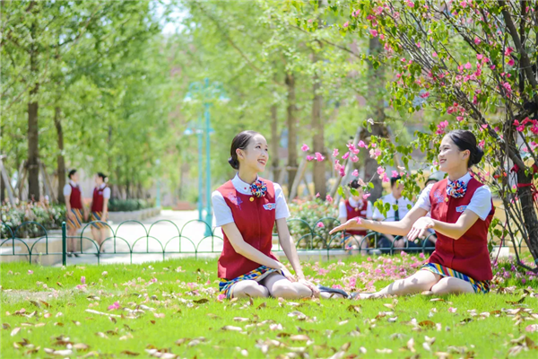 1558319229308193.png 1558319011(1).png