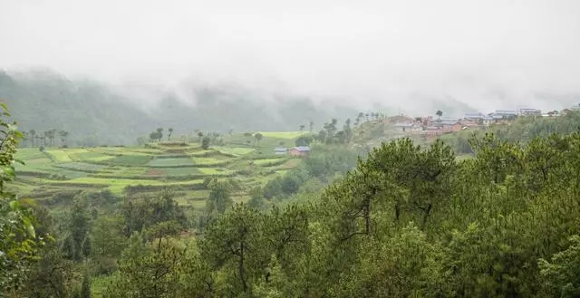 1562234858939340.jpg 640.webp (1).jpg