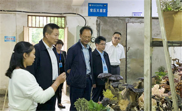 1571730260204745.jpg 2.jpg