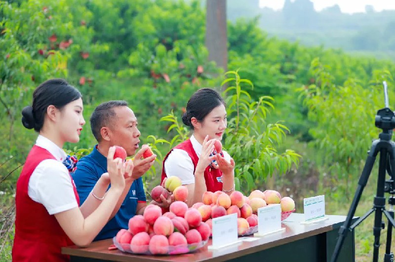 1653967974663248.jpg 64210.jpg