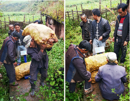 1667807647263784.png 微信截圖_20221107155354.png