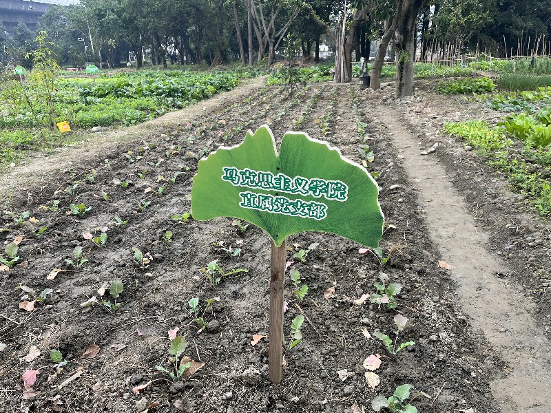 1669102189346362.jpg 圖7.jpg