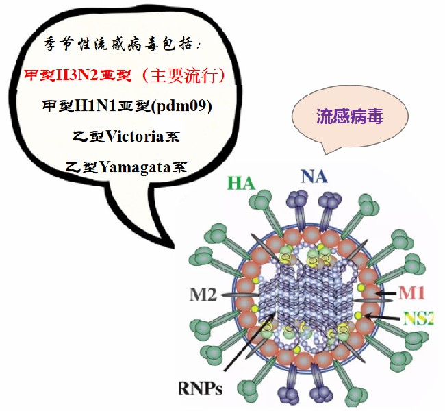 1681192050956037.jpg 64fa93fe3c4d43d4d2e8ae10aafc3b4.jpg