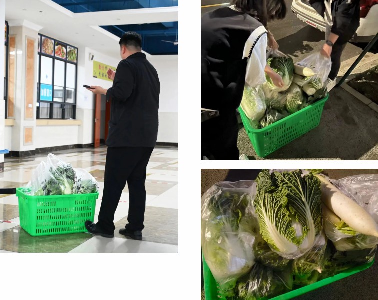 1698026920979532.jpg 8.jpg