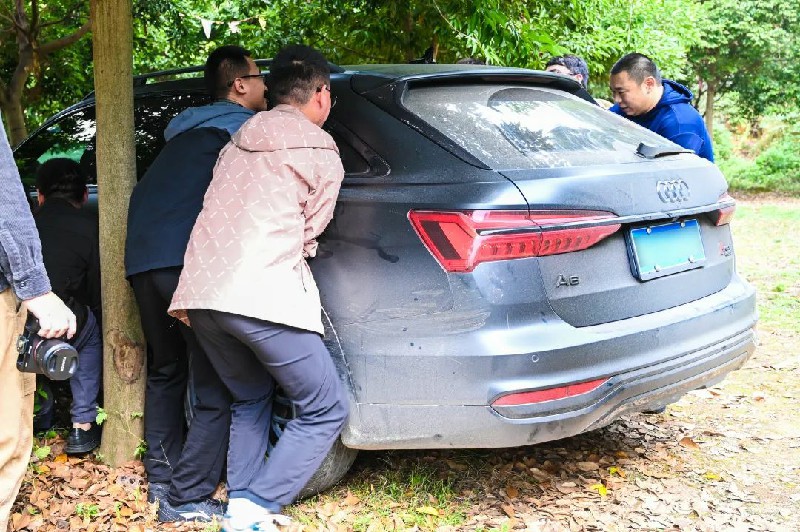 1699256829508850.jpg 3.jpg