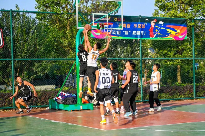 1701136908250057.jpg 3.jpg