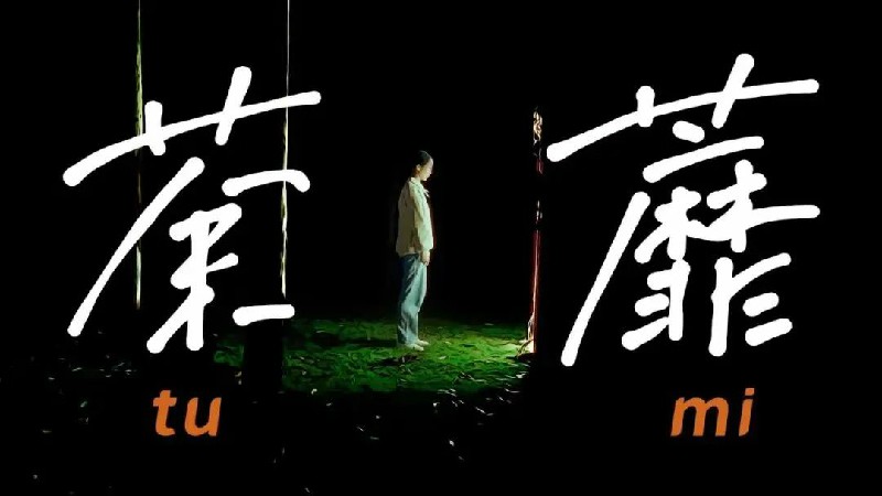 1702533811505279.jpg 4.jpg