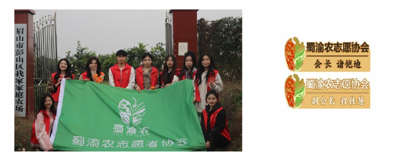 1704956482941879.jpg 9.jpg