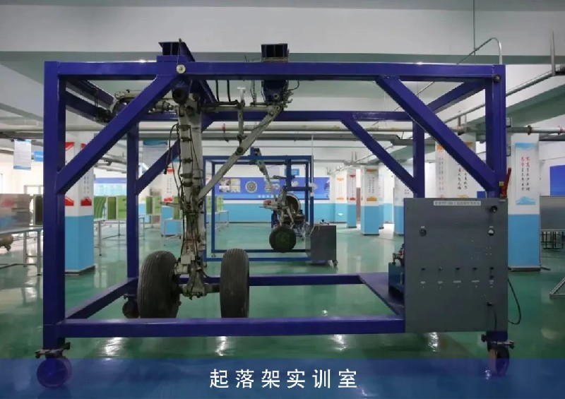 1741917546686787.jpg 3.jpg